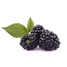 TPA Boysenberry (бойзенова ягода) 10мл